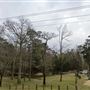 Fat Girl Creek