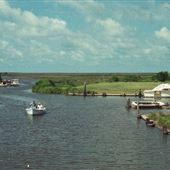 Bayou Coden - Heron Bay