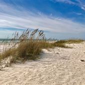 Gulf Shores & Orange Beach
