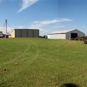 Lazy M Farms