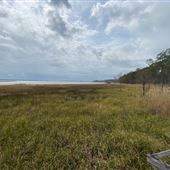 Weeks Bay Estuary Research Reserve
