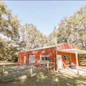 Country Farm Cottage with Goats - Draft