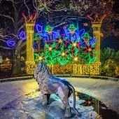 Bellingrath Christmas