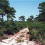 Bon Secour Wildlife Refuge