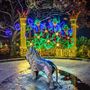 Bellingrath Christmas